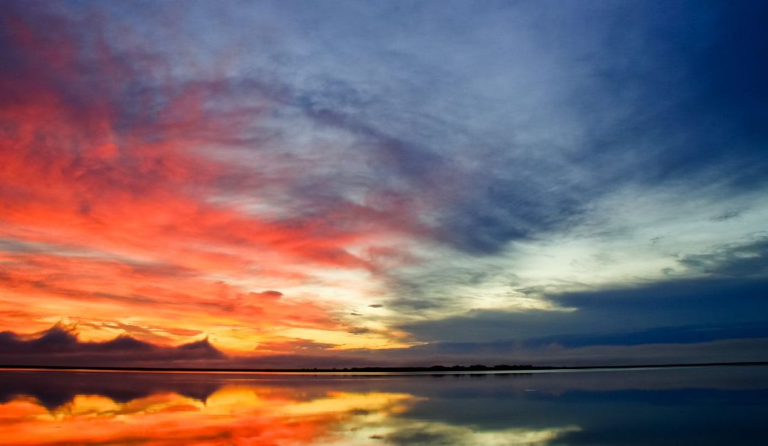 The Small Business Illusion vs. Truth