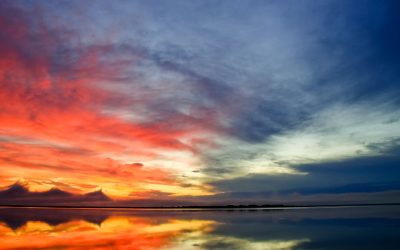 The Small Business Illusion vs. Truth