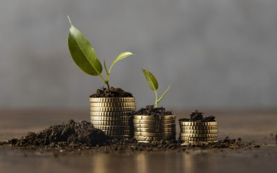 How are you doing in YOUR Economy?